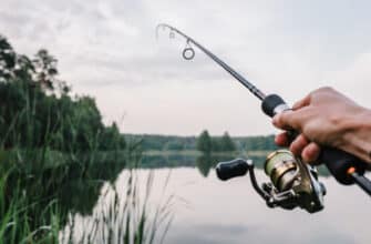 Как выбрать правильную наживку для разных условий рыбалки