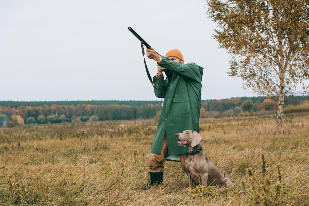 Лучшие места для охоты в России: Региональное руководство